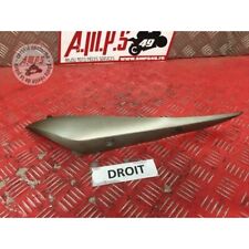 Cache plastique sur silencieux