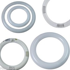 Néon LED Tour Circulaire LED