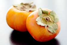 8 Graines de kaki Fuyu -  kaki Pomme - plaqueminier