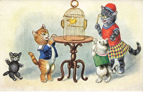 Chats mk39856 humanises - chats,