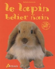Le lapin bélier nain -