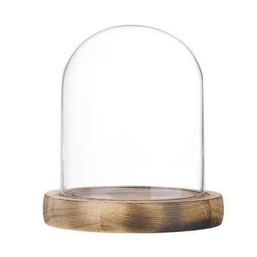 Cloche verre présentoir - cloche, en