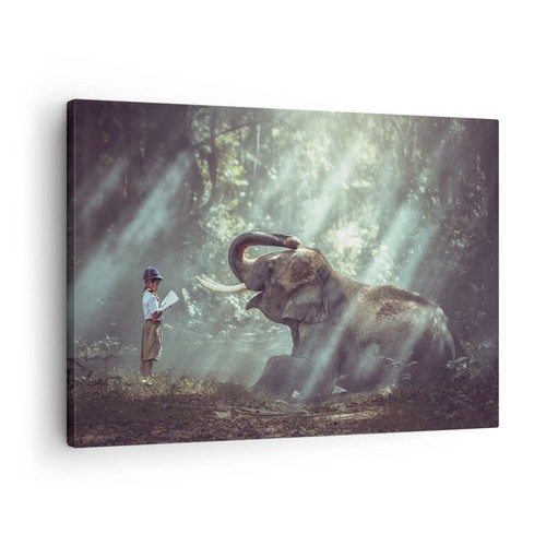 Impression sur toile 70x50cm - impression,