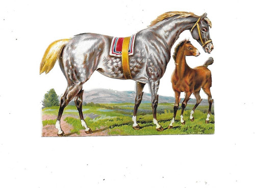 Ancien chromo découpis - chromo,