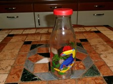 BOUTEILLE  LE PARFAIT MODELE