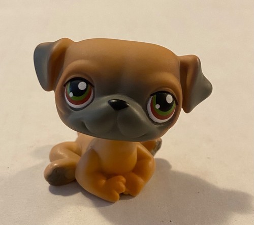 Littlest pet shop tan - shop, pug