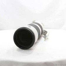 Sony FE 200-600mm F5.6-6.3 G