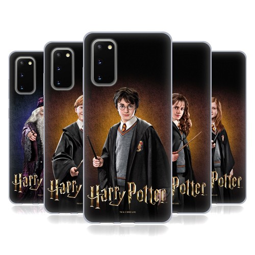 Harry potter chamber - harry, of