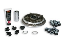 MALOSSI 5114855 Variateur