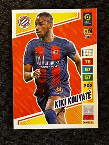 Card panini adrenalyn foot - panini,