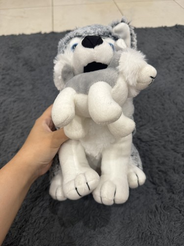 Neuf peluche husky - neuf, son