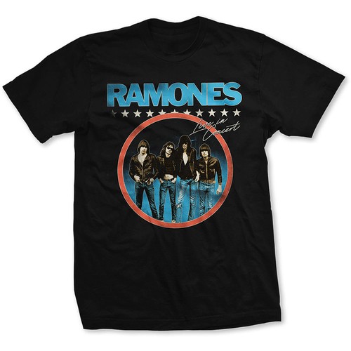 The ramones live concert - ramones, in