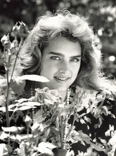 Brooke shields blue lagoon - blue,