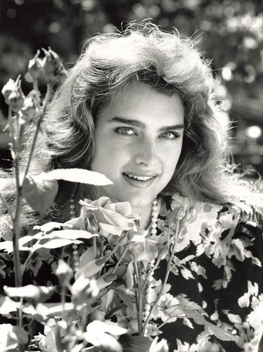 Brooke shields blue lagoon - shields,