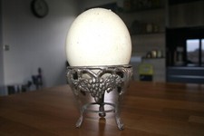 Cabinet de Curiosités Gros