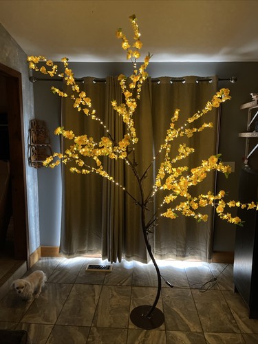 Outdoor 600 led - 600,