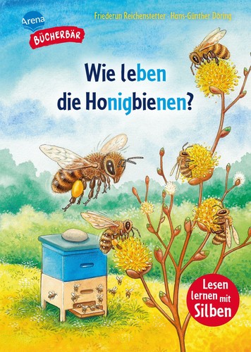 Arena erstleseb wie - arena,