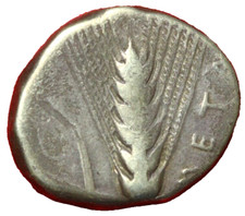 #6309 - GRECQUE Lucanie Métaponte Statère d' argent ( 330-300 ) Le monde Grec