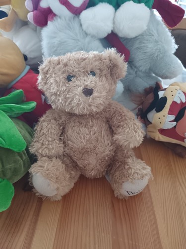 Petit ourson pedro peluche - pedro,