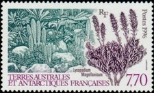 Timbre TAAF 209**   neuf sans