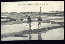 MARAIS SALANTS 