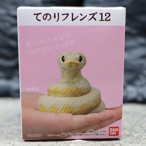 Tenori friends vol - tenori,