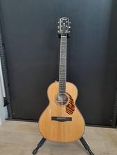 Guitare acoustique électrique