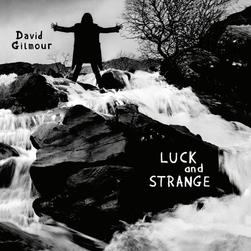 David gilmour luck - david,