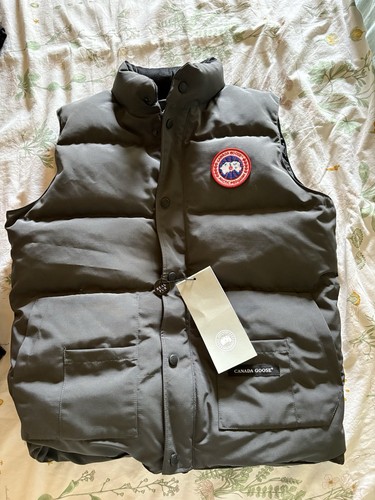 Canada goose - canada,