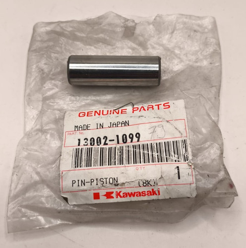 Kawasaki 13002 1099 - kawasaki, de