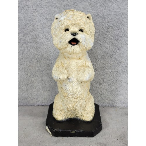 West highland white terrier - white,