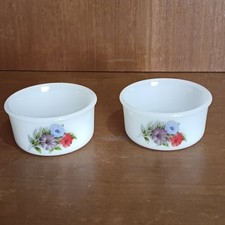 Ramequins Arcopal Modèle