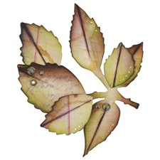 Matrice découpe (Die) Bigz