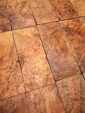 1X Thuja Racine Bois Thuya