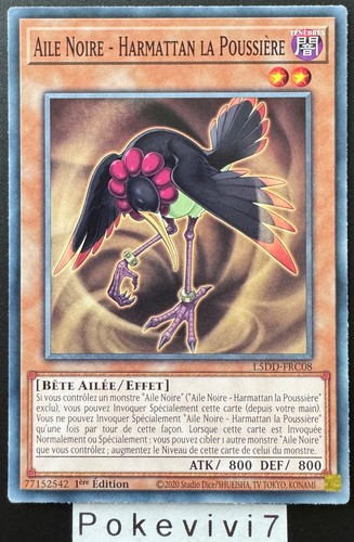 Carte aile noire - carte,