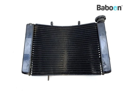 Radiateur triumph street - radiateur,
