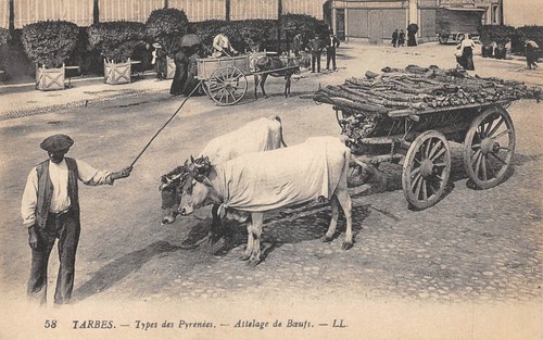 Cpa tarbes types des - tarbes, /
