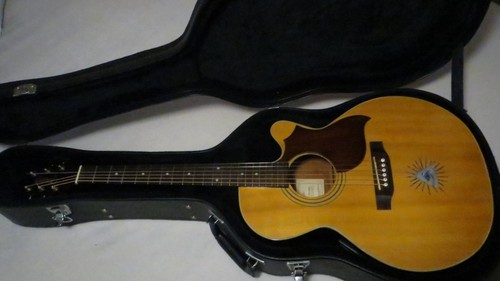 Takamine eg540c - takamine,