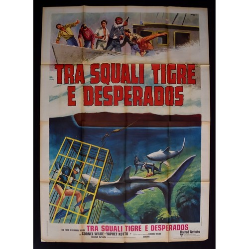 Affiche tra squalis - tigre, et