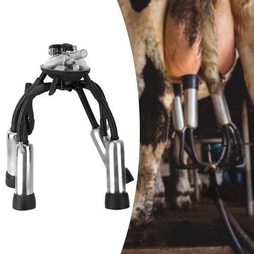 Cluster traite vache - cluster, de