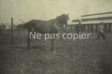 INDOCHINE vers 1900 cheval