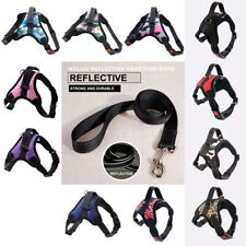 Animal de compagnie Contrôle Harnais pour Chien Chiot Souple Collier Laisse