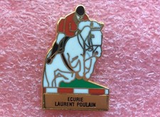 T07 Pins DORE OR FIN ÉCURIE