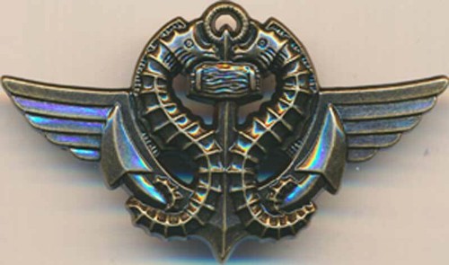 Certificat nageurs combat - nageurs, de