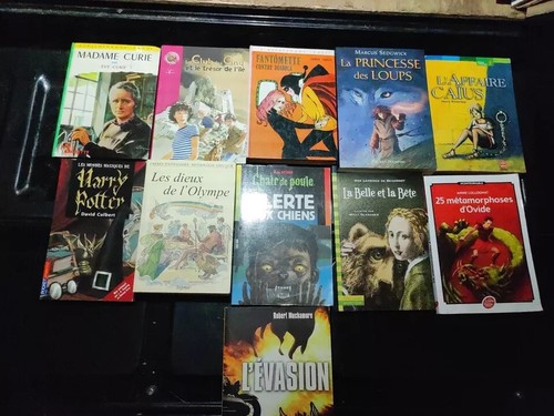 Lot livres bd pour - 51, et