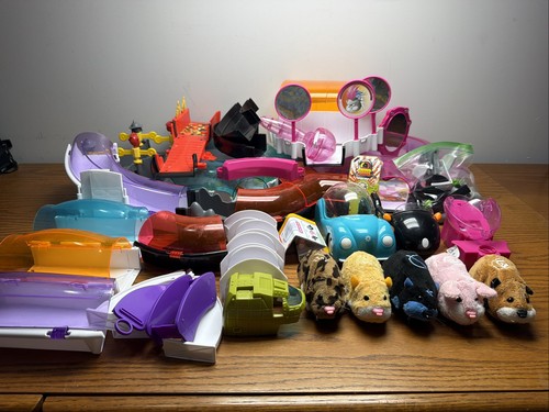 Zhu pets - zhu,