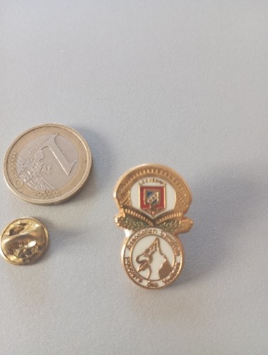 Badge pin broche maitre - badge,