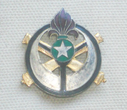 Insigne batterie saharienne - insigne,