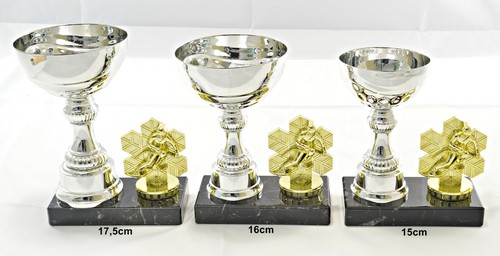 Ski alpin trophée coupes - trophée, 3