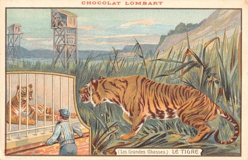Cpa publicite chocolat lombart - cpa,